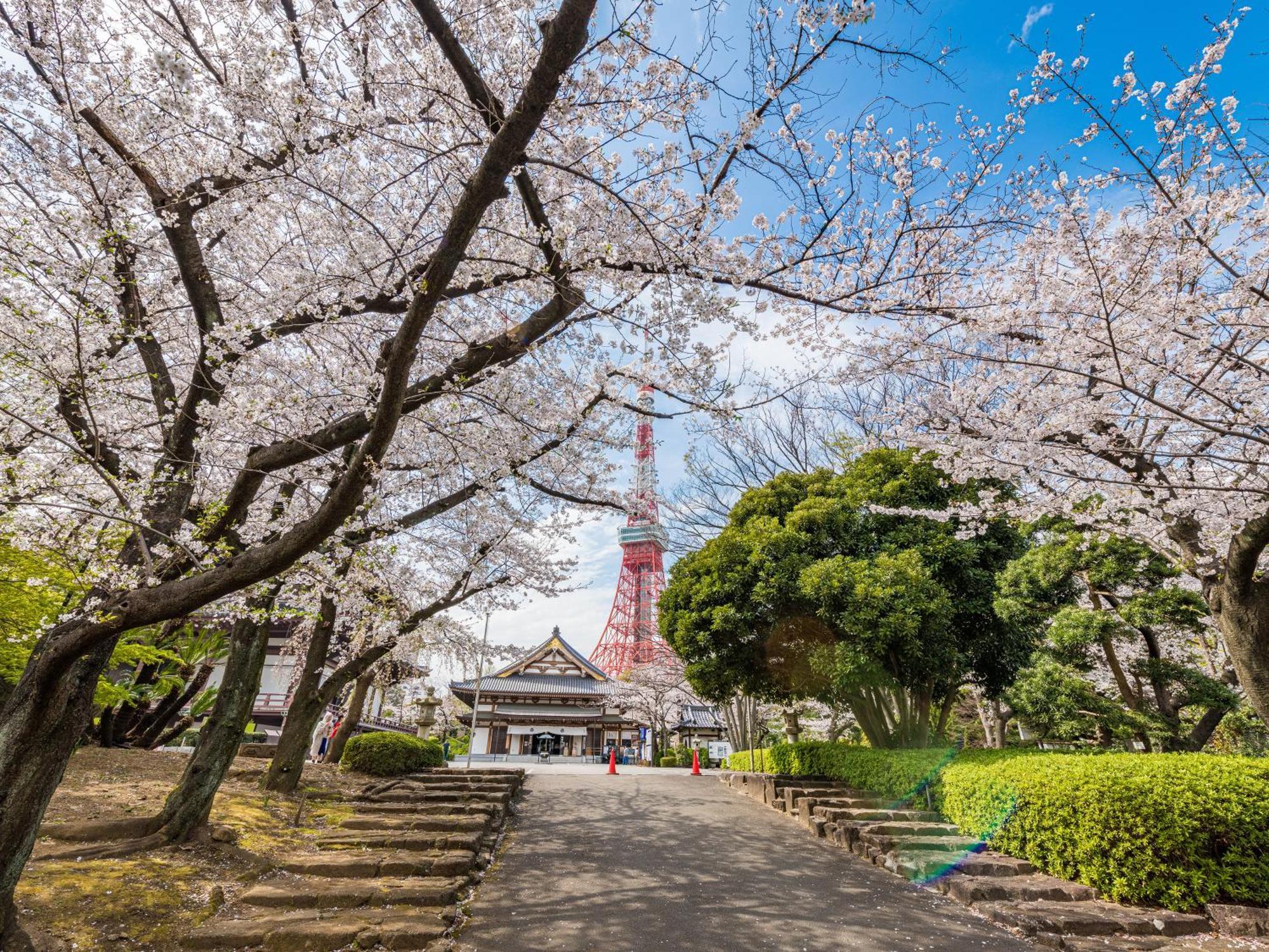 Hotel Illi Surp Shiba-Park Tokio Exterior foto